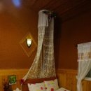 별빛사냥 이미지