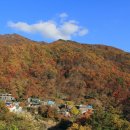 피아골단풍민박 이미지