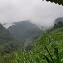 동아글로벌