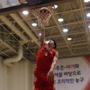 새내기투