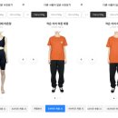 더핏 머니투데이