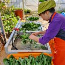 송원농장 이미지