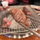 오가피가든 | 소갈비와 삼겹살이 맛있는 일산 백석 또간집 산지태소양념갈비