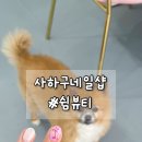 당리동사람들 | 사하구 네일샵 당리동 네일 잘하는 쉼뷰티