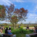 북창초교 이미지