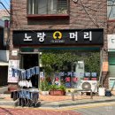 [미용실] 원지의 하루 히피펌 성지 &#34;노랑머리&#34; 찐 후기