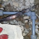 신대동 주공아파트 이미지