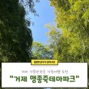 숨소슬커피 | 거제도 가볼만한 곳 거제 맹종죽 테마파크 (feat. 가족여행 코스 추천)