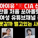 '가수 아이유 美CIA 신고' 신호탄 올린 화제의 유튜브채널 '천조국 파랭이' 外 권순활TV﻿ 이미지