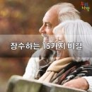 장수-15 Daum카페