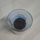 패랭이공원 내 | 국제정원박람회 시드볼트 체험 후기 - 디지털치유정원