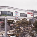 롯데프리미엄아울렛(패션몰) 이미지