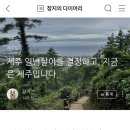 제주로 이사 오고 태풍과 함께한 일주일의 기록 (feat. 지름신 강림)