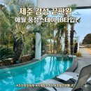 제주29애월풀빌라A | 제주 감성 풀빌라 추천 제주도 애월 예쁜 풍정스테이