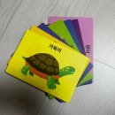 남매로R | [Review] 6세 유아영어, 4세 한글떼기, 또남매의 두뇌발달을 위한 브레인나우 플래시카드 체험팩 후기