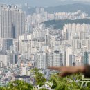 뉴스카이북 뉴스1