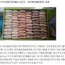 성진블루베리한과