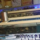 조개천하 이미지