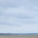 제주 바닷마을 다이어리 이미지