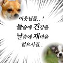 담박 이미지