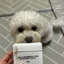 오꼬미 이미지