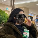 세븐일레븐 신호제일점 | 6살 터울 둘째 임신기 / 39주 0일 : 출산 신호/ 서울성모병원 자연분만 후기, 출산기