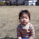 다빈스 이미지