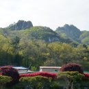 서산 팔봉산 목장 이미지