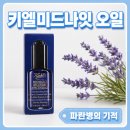 동서화장품 | 키엘 미드나잇 오일 3병째 내돈내산 후기, 왜 계속 쓰게 될까?