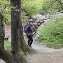 작은새재 이미지