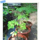 와우농장 이미지