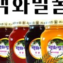 여주-1021 이미지