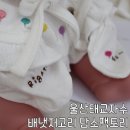 콩알팩토리 이미지