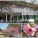 김삿갓휴게소슈퍼
