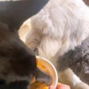 무크스페이스 이미지