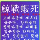 파장 이미지