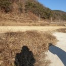 소보농장 이미지