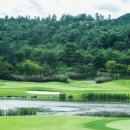 파인스크린골프 이미지