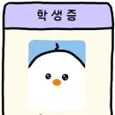 슐리 이미지