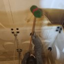 티엠에스 이미지