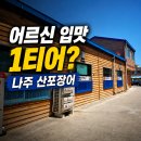 산포식당 | 가족모임 갔다가 왜 유명한지 이해한 나주 산포장어 후기
