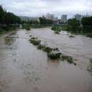 비산대교 앞 이미지