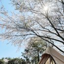 모구리야영장(가족영지) 이미지