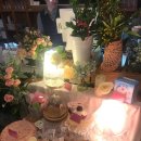 장미카페 이미지