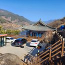 콜라니티다 이미지