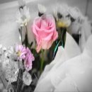 동의의료원장례식장 이미지