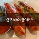 바이킹스워프