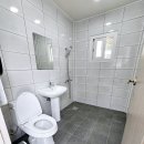 자작나무뜰 오토캠핑장 이미지