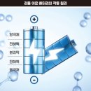 더메모리 이미지