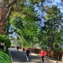 청무유도관 이미지